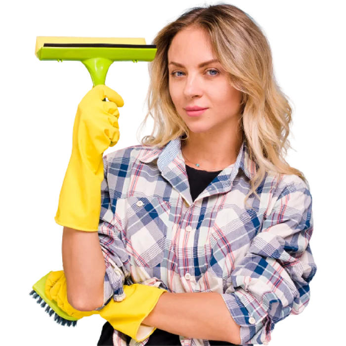 Premium Cleaning team